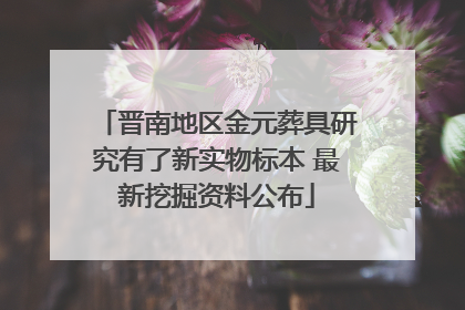 晋南地区金元葬具研究有了新实物标本 最新挖掘资料公布
